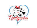 Правдинка